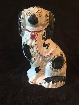 Large,  Antique 19c English Staffordshire,  Black & White Spaniel Dog