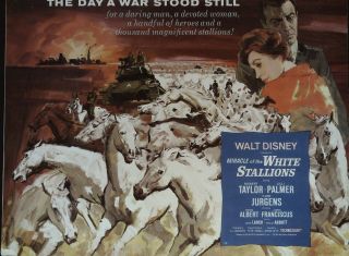 Miracle Of The White Stallions Lobby Title Card Walt Disney 1962
