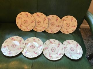 Set Of 8 Vintage Theodore Haviland York Delaware China Plates 7 1/2 " Salad