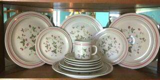 ⭐️lot 12⭐️ Newcor Strawberry Patch Plates Dinner 4,  Salad 4,  Saucers 3,  Cup 1