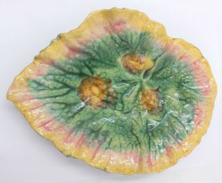 Set of 3 Antique Griffen Smith & Hill Etruscan Majolica Pottery Leaf Dish Dishes 5