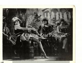 D235 Marlene Dietrich The Blue Angel 1930 8 X 10 Photograph