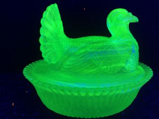 Blue Vaseline glass Turkey hen on nest basket dish candy / butter Cobalt uranium 2