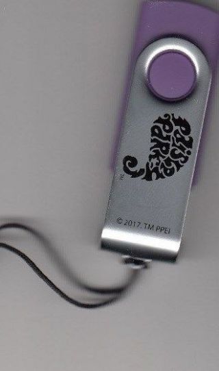 Prince Paisley Park Official Flash Drive Memory Stick