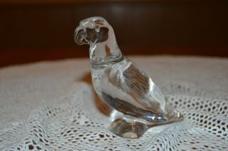 Baccarat France Clear Crystal Glass Parrot Bird Figurine 4 " Tall