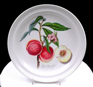 Portmeirion Pomona Susan Williams Grimwoods Peach 10 3/8 " Dinner Plate 1982 -