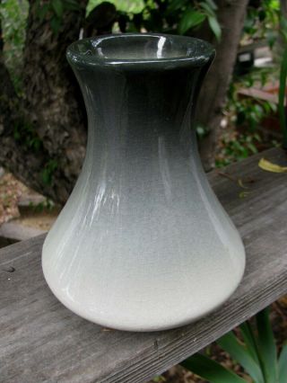 Vintage Weller Pottery Etna 6 Inch Vase 1906,  Dogwood Flowers 5