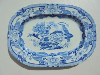 Old Antique Masons Patent Ironstone China Blue Pheasants Platter Tray 9 " Early