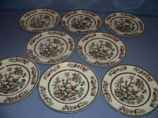 Johnson Brothers Indian Tree 8 Dinner Plates 9 - 7/8 " D