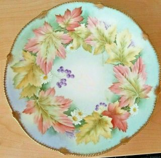 Antique P T Bavaria Germany Hand Painted Porcelain Floral Plate Signed &numbered