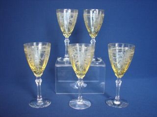 Set Of 5 Vintage Fostoria June Topaz 5 - 1/2 " Wine Stems Elegant Etched Glass
