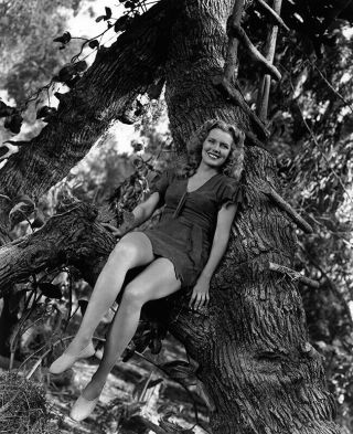 Brenda Joyce - Tarzan And The Amazons (1945) - 8 1/2 X 11