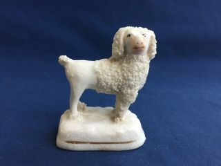 Antique Staffordshire Miniature Confetti Poodle Spaniel Dog Figurine