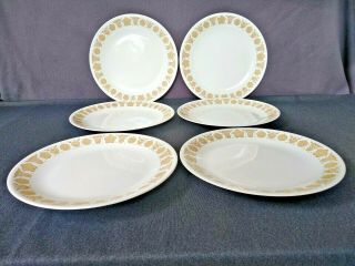 Vintage Corning Corelle Butterfly Gold 10 1/4 " Dinner Plates - Set Of 6