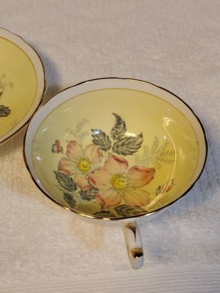 Paragon Wild Rose On Pale Yellow Teacup and Saucer 4