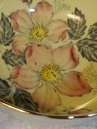 Paragon Wild Rose On Pale Yellow Teacup and Saucer 7