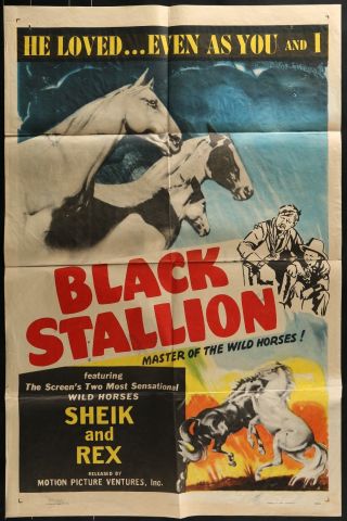 King Of The Sierras Black Stallion 1938 One Sheet Movie Poster 27 X 41