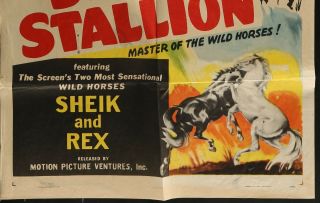King of the Sierras Black Stallion 1938 ONE SHEET MOVIE POSTER 27 x 41 2