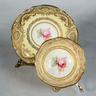 Gorgeous Paragon Teacup & Saucer - White/yellow Ornate Gilded Designs Rose Centre