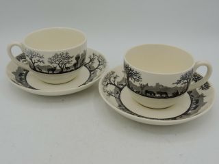 2 Wedgwood Kruger National Park Flat Cups And Saucers
