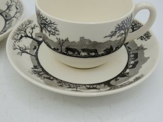 2 Wedgwood Kruger National Park Flat Cups and Saucers 2