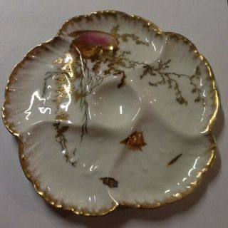 Old Vintage Marked Haviland Limoges Oyster Plate With Shell And Seaweed Design