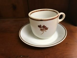 Alfred Meakin Antique R0yal Ironstone China,  Tea Leaf Pattern Cup & Saucer