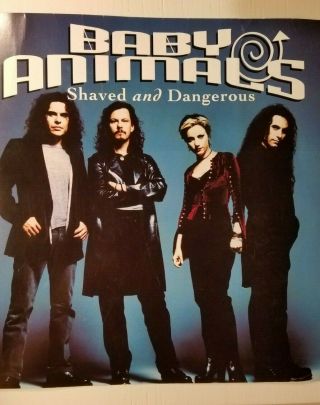 Baby Animals Shaved And Dangerous 12x12 Poster Flat 1993 Rare Autographed