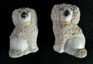 Set Of 2 Antique Staffordshire Ware England Poodle Dog Figurines