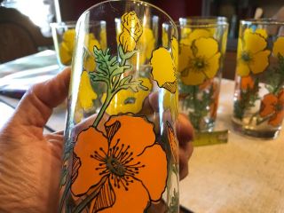 Vintage Libbey Orange Yellow Poppy Drinking Glasses 1960s Flowers Set Of 6 5