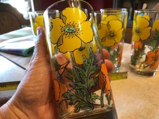 Vintage Libbey Orange Yellow Poppy Drinking Glasses 1960s Flowers Set Of 6 6