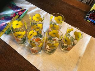 Vintage Libbey Orange Yellow Poppy Drinking Glasses 1960s Flowers Set Of 6 7