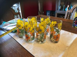 Vintage Libbey Orange Yellow Poppy Drinking Glasses 1960s Flowers Set Of 6 8