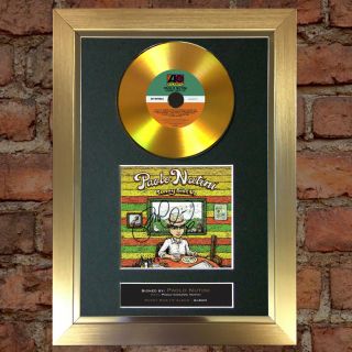 Gold Disc Paolo Nutini Sunny Side Signed Autograph Mounted Print A4 172