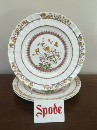 Copeland Spode Buttercup 9 " Luncheon Plate Old Stamp Set Of 3
