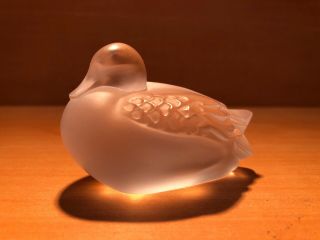 Lalique Sleepy Duck Frosted Crystal Signed Figurine