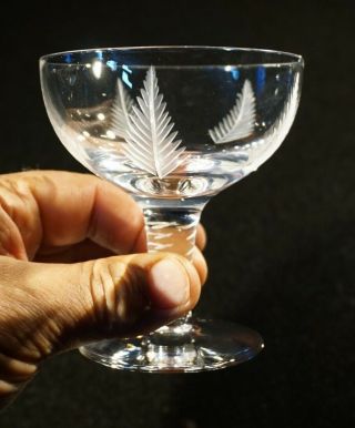 Stuart Crystal Woodchester Champagne Glass