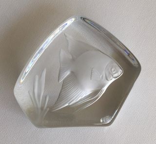 Vintage Cristal d ' Arques Angelfish Paperweight Lead Crystal Made in France 2