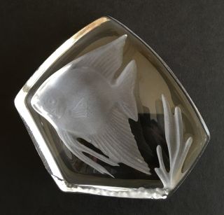 Vintage Cristal d ' Arques Angelfish Paperweight Lead Crystal Made in France 3