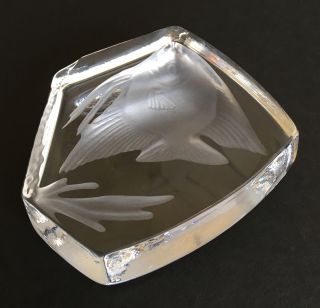 Vintage Cristal d ' Arques Angelfish Paperweight Lead Crystal Made in France 5