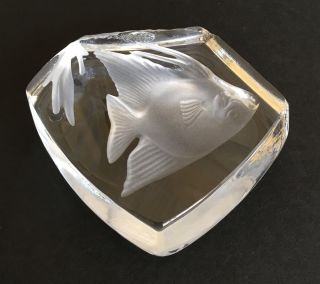 Vintage Cristal d ' Arques Angelfish Paperweight Lead Crystal Made in France 6