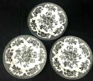 Set Of 3 - Royal Stafford Asiatic Pheasant Black Dinner Plate 11 "