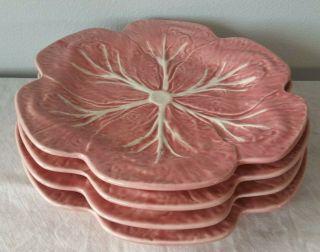 4 Bordallo Pinheiro Pink Cabbage 10 3/4 " Dinner Plates Made In Portugal