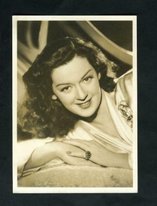 Vintage Rosalind Russell " Fan Photo " 1930 