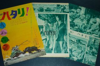 John Wayne Elsa Martinelli Hatari 1962 Japan Movie Ad & Picture Clippings Kc/o