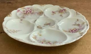 Antique Theodore Haviland Limoges Porcelain Oyster Plate 5 Well Gold Trim 1903 2