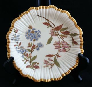 Antique 19th C.  Royal Worcester Blush Ivory Porcelain Hand Painted Plate 8 1/2 "