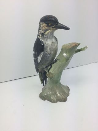 Vintage Spode Copelands China England Porcelain Bird On A Branch Figurine