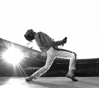 Queen Band 16x20 " Photo Freddie Mercury Brian May Roger Taylor John Deacon