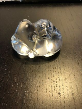 Steuben Glass Puppy Love Entwined Dogs Paperweight 8524 Lloyd Atkins